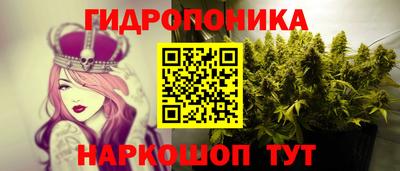 ECSTASY Будённовск
