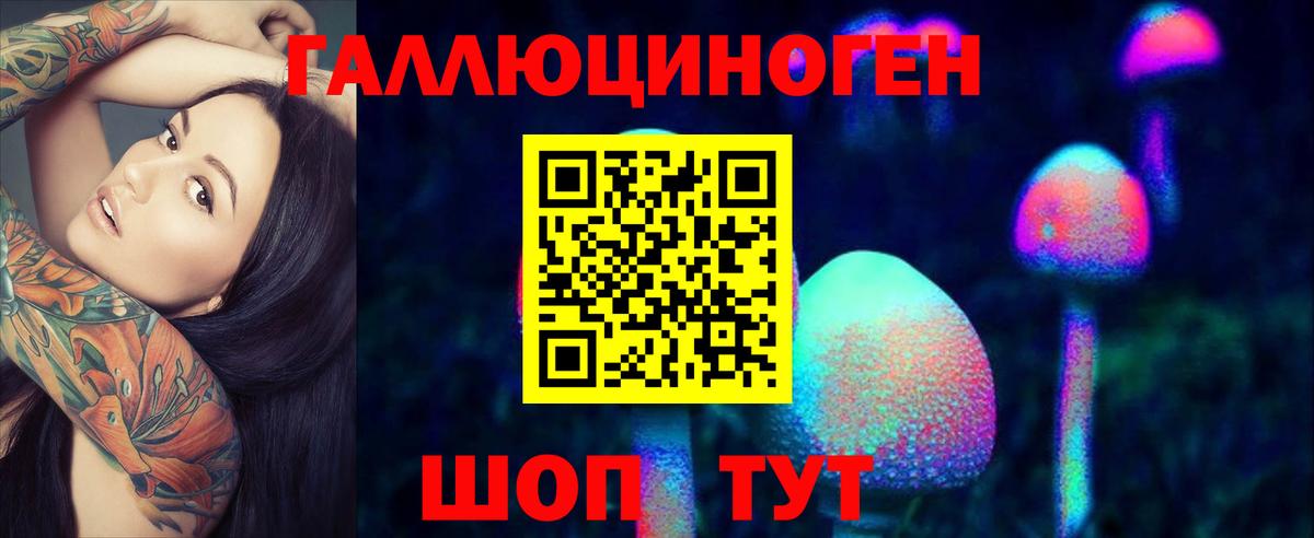 закладки  Галлюциногенные грибы GOLDEN TEACHER  Вход с VPN  Мегион 